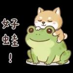 柴犬可愛諧音梗