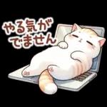 猫のつめあわせ⑤【春】