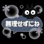 黒ねこの秋・冬便り