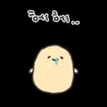 겨울철 부실감자 냉해주의