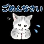 夏の毎日☆猫たちのスタンプ２