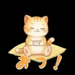 ぽかぽか春ねこライフ
