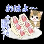 ころころ子猫と春スイーツ