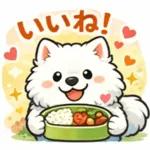 超かわいいサモエド犬の日常 普段使いに！