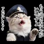 リアル猫警察官