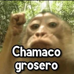 Chamaco grosero - getsticker.com