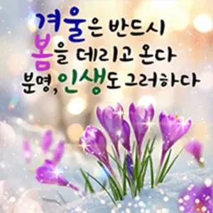 겨울은 반드시 봄을 데리고 온다 분명, 인생도 그러하다 - getsticker.com
