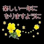 new year2023.12resale