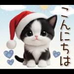 可愛いハチワレ猫 サンタ帽 冬 気づかい