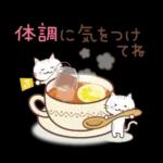 猫と梅と桜♪ずっと使える♡