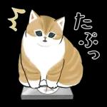 あけおめにゃん午