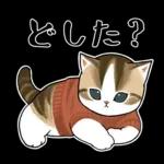 おめかしにゃん