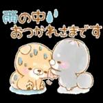 初夏❤️いやしばいぬ❤️16/柴犬