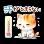 猫のつめあわせ【夏】
