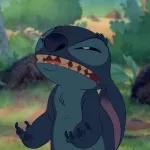stitch 