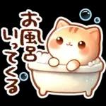毎日♡猫ちゃんず【連絡・今何してる？】