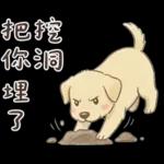 小拉拉 實用日常