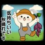 癒しを運ぶくまさん ♡ ほっこり秋