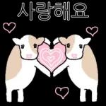 호기심 많은 소