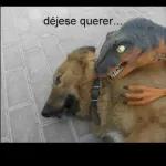 UNIDOS ESTADOS MEXICAN SOY ORGULLOSAMENTE MEXICANO