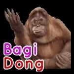 semangat sayangku!