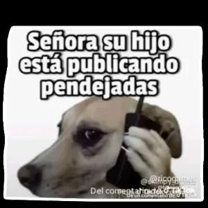 Señora su hijo está publicando pendejadas - getsticker.com