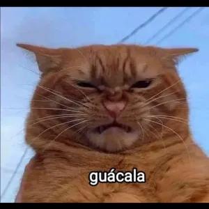 guácala - getsticker.com