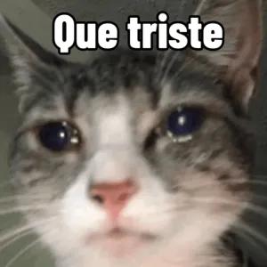 Que triste - getsticker.com