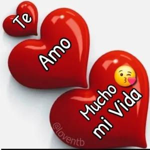 Te Amo Mucho mi Vida - getsticker.com