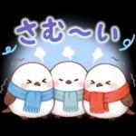 シマエナガたちの冬♪