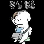 또리는 소심하지만 참지않지
