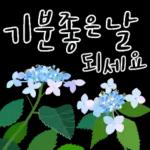 다정한 꽃편지 인사