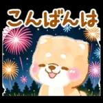 大人の夏❤️いやしばいぬ❤️柴犬