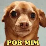 por mim voltei