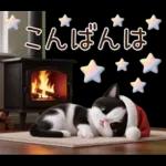 可愛いハチワレ猫 サンタ帽 冬 気づかい