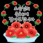 가정의 달 꽃 선물