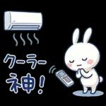 毎日使える夏☆ほぼ白うさぎ