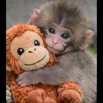 Y ESTE QUE SE CREE...