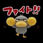 目ヂカラ強め☆ずんぐりなハシビロコウ②