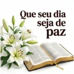 Santas Bênçãos 🌹