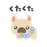ぴかぴかわんわん