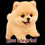 Adesivos de cachorro