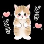 春の毎日☆猫たちのスタンプ（もふもふ）