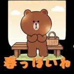 ぽかぽかくまさんの春