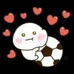 家族でサッカー⚽️だいふくまる