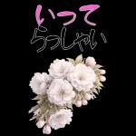 もふ屋画♪チップとデール