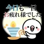 毎日しろちゃん22❤敬語・長文