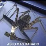 TOY CONFUNDIDO 