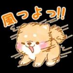 雨、梅雨、夏に使う❤️いやしばいぬ❤️柴犬