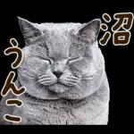 うんこ★リアルな猫